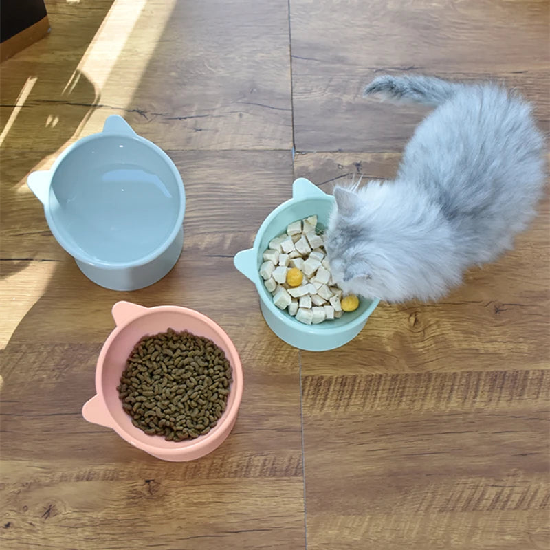 Tilted Raised Cat Bowl