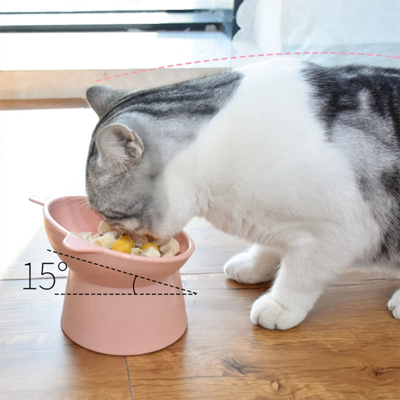 Tilted Raised Cat Bowl
