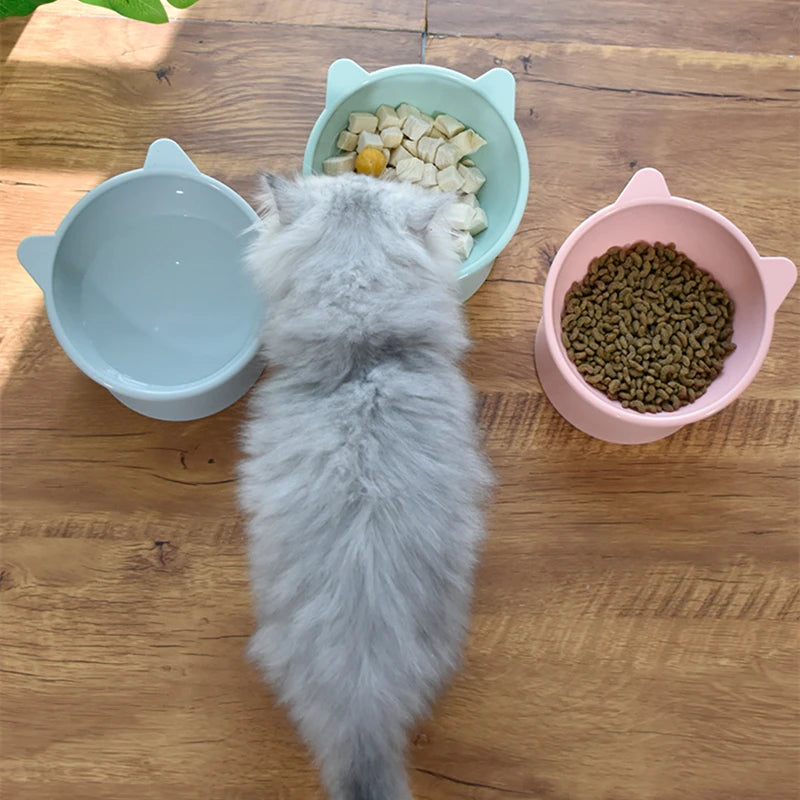 Tilted Raised Cat Bowl