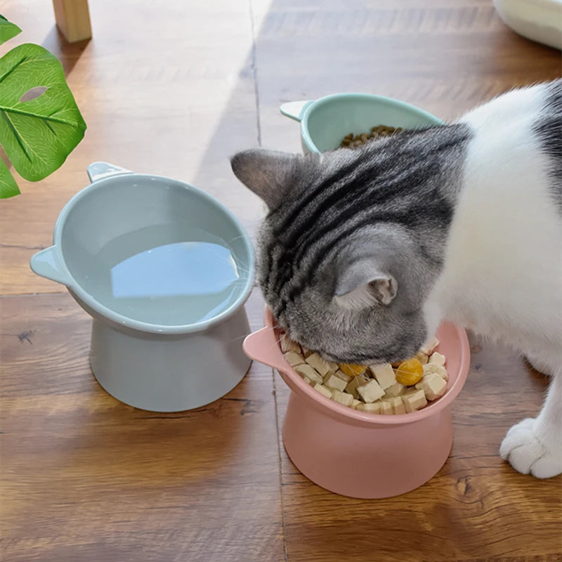 Tilted Raised Cat Bowl